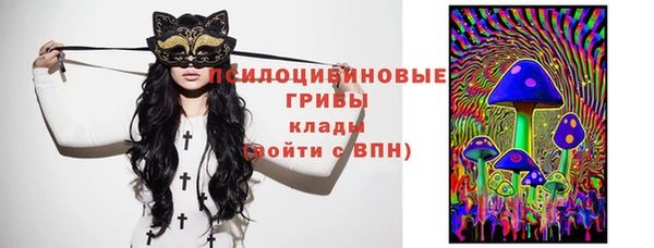 сатива Балахна