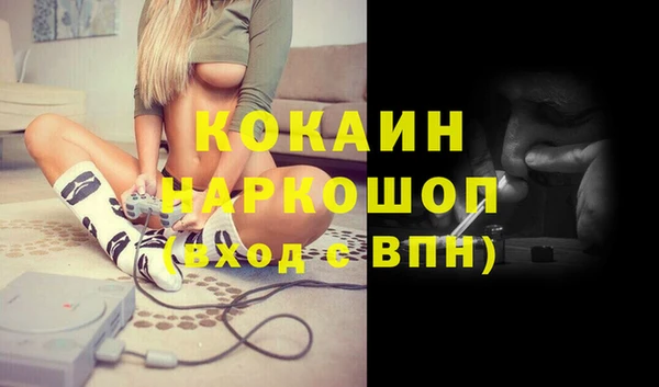 сатива Балахна