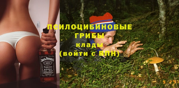 сатива Балахна